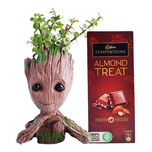 Jade Plant with Groot Pot N Temptation Treat