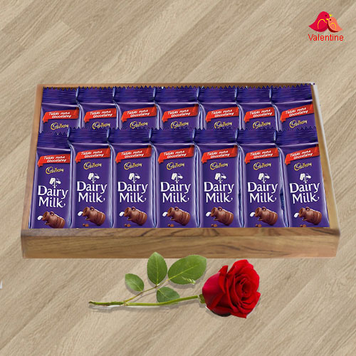 Cadbury Dairy Milk with a Red Rose for your Valentine