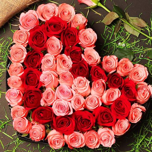 Admirable Romantic Heart Arrangement of Pink  N  Red Roses