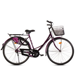 Heart-Alluring BSA Ladybird Dreamz (Junior) Bicycle<br><br>