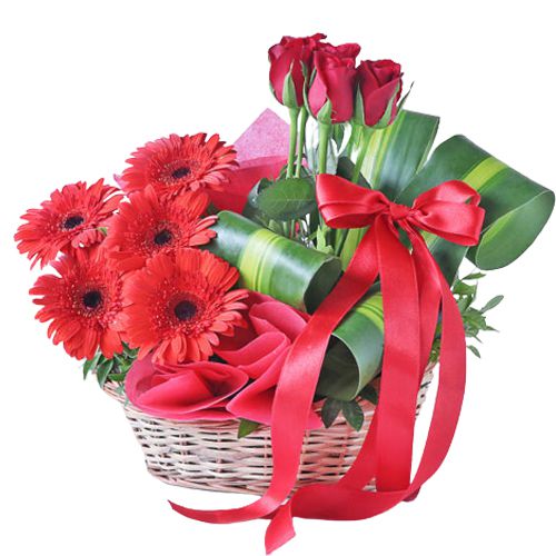 Gorgeous Red Roses n Gerberas Basket Arrangement