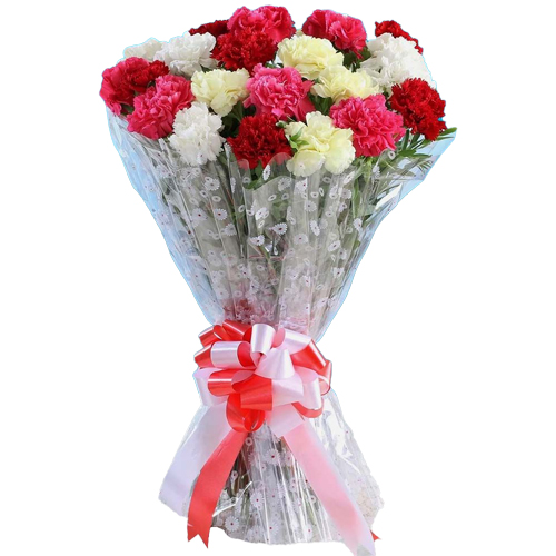 Stunning Assorted Carnations Bouquet
