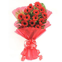 Fresh Red Gerberas Bouquet
