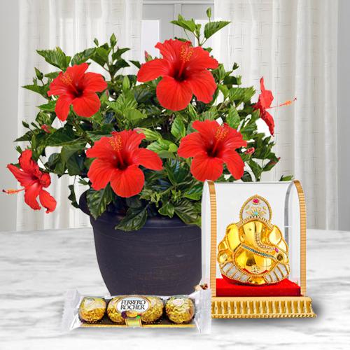 Good Luck Hibiscus Plant with Ganesh Idol N Chocolate
