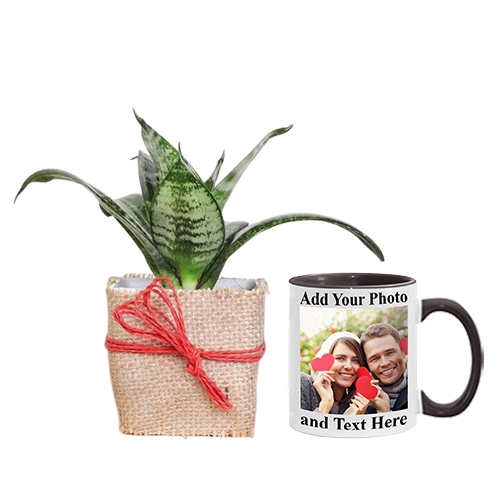 Delightful combo of Jute Wrapped Snake Plant N Personalize Coffee Mug