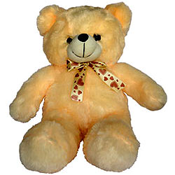 Exclusive Teddy Bear for Kids